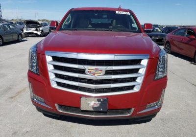 2655866dc7d847039e3783d7e0ebcfb4_ful