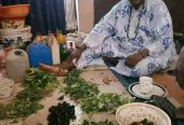 The Best Powerful Herbalist Man In Nigeria