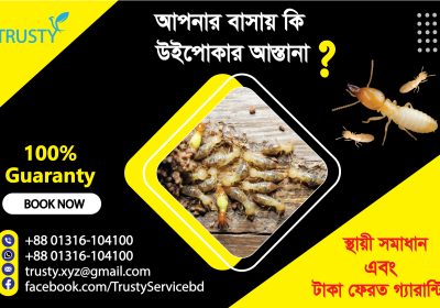 Termites destroy your home and furniture. 4.4-post-design