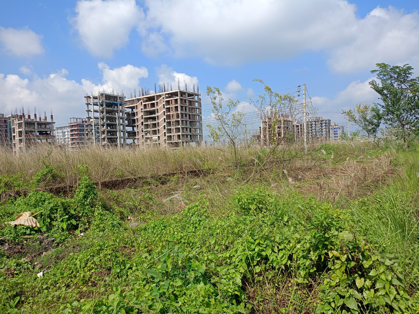 Ready Residential Plot for Sale